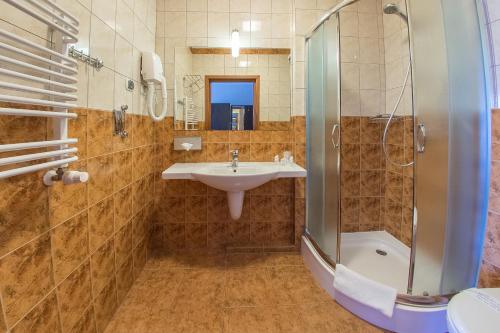 La salle de bains est pourvue d'un lavabo et d'une douche. dans l'établissement Hotel Karino Spa, à Polańczyk