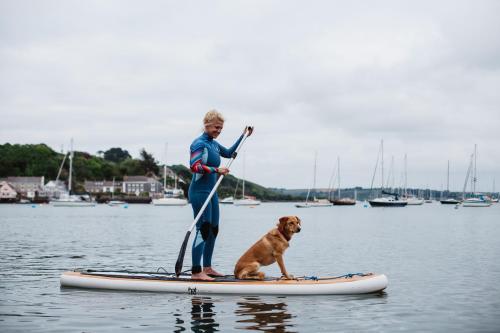 
a man and a dog on a paddle board in the water at Greenbank Hotel in Falmouth
