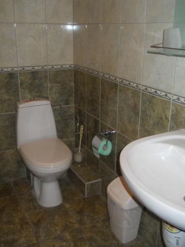 Koupelna v ubytování Diplomat ApartHotel