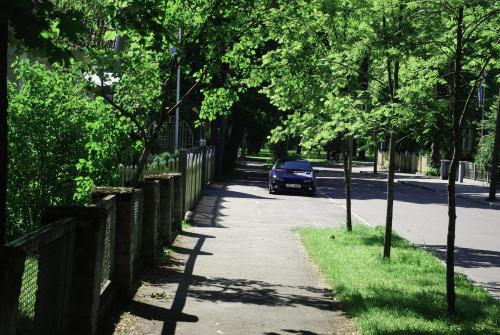 a car parked on the side of a road with trees at Villa Johanna Guesthouse in Pärnu
