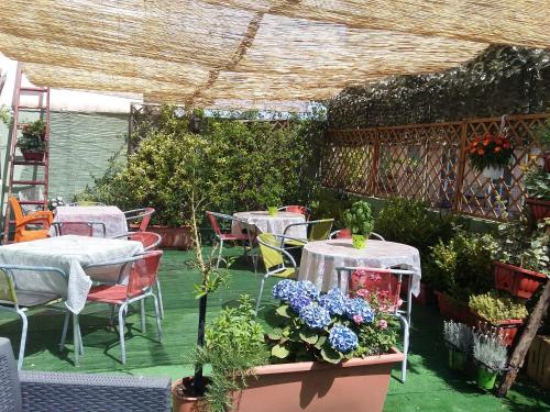 Vườn quanh B&B Dolcevita