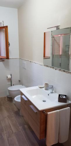 a bathroom with a sink and a toilet and a mirror at Podere Chiasso Gherardo in Peccioli