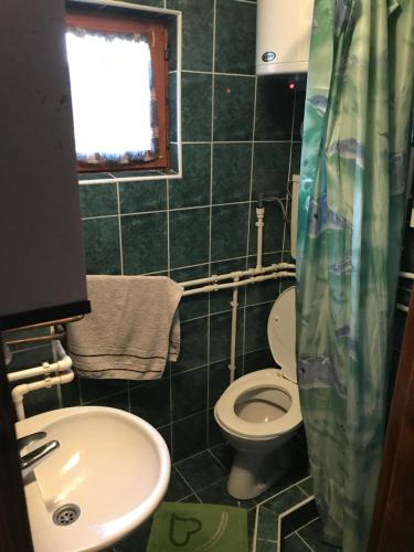 a small bathroom with a toilet and a sink at Holiday Home Brvnara in Bajina Bašta