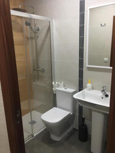 a bathroom with a toilet and a shower and a sink at Pensión Blanquita in Logroño