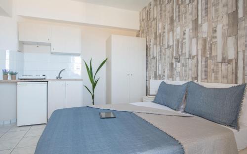 Η κουζίνα ή μικρή κουζίνα στο Silver Sun Studios & Apartments 