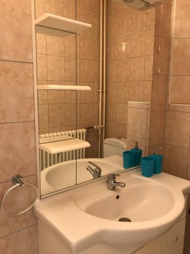 een badkamer met een wastafel en een spiegel bij Studio Lora RM 1221 in Saint-Louis