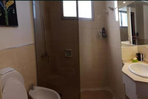 ein Badezimmer mit Dusche, Toilette und Waschbecken in der Unterkunft ArielMardel in Mar del Plata