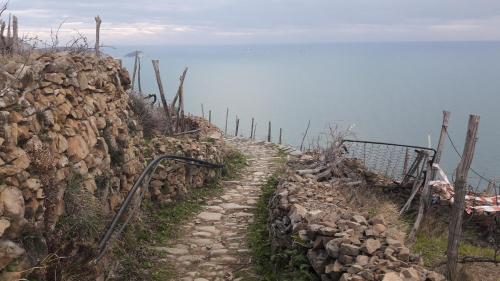 Φυσικό τοπίο κοντά σε αυτή η παραθεριστική κατοικία