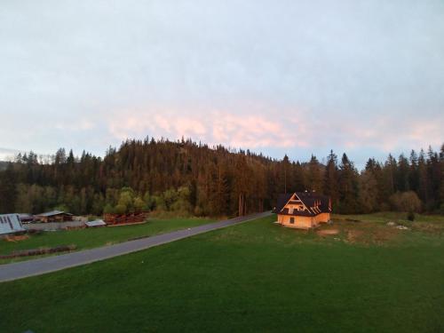 a house in a field next to a road at Willa Pawlikowskich in Poronin
