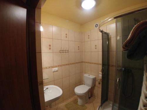 a bathroom with a toilet and a sink and a shower at Willa Pawlikowskich in Poronin