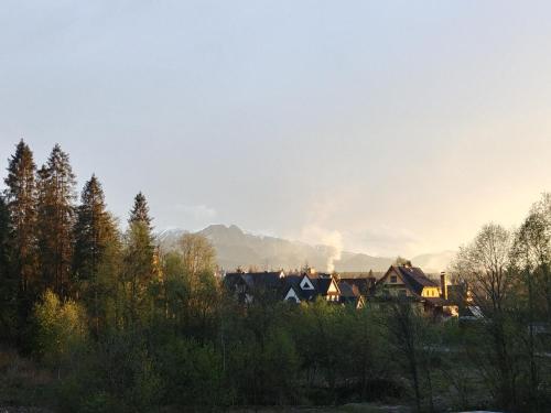 a group of houses with a mountain in the background at Willa Pawlikowskich in Poronin