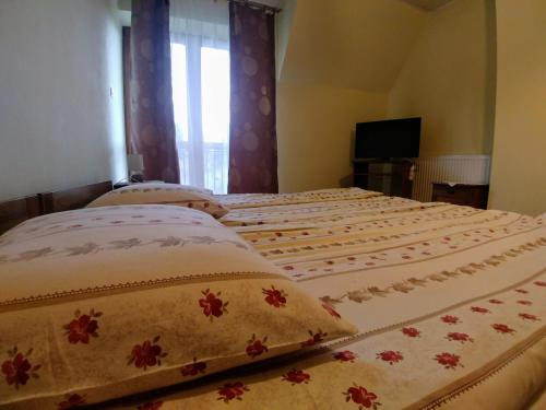 two twin beds in a bedroom with a television at Willa Pawlikowskich in Poronin
