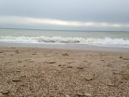 a sandy beach with waves in the ocean at Дом у моря in Odesa