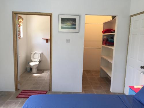 a room with a bathroom with a toilet and a mirror at CasaCalypso Grenada in Belmont