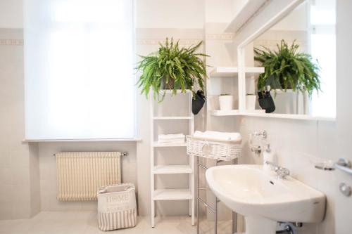 a bathroom with a sink and two potted plants at Stop & Sleep Venzone in Venzone