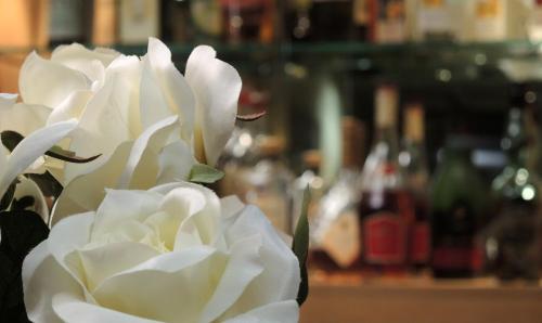 a white rose sitting on top of a table at Best Western Hotel im Forum Mülheim in Mülheim an der Ruhr