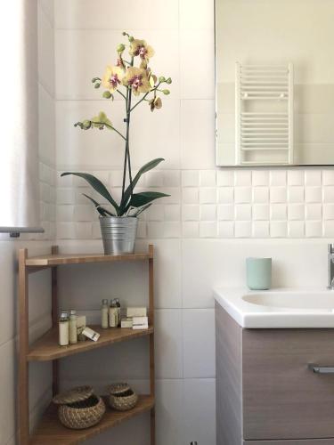a bathroom with a sink and a potted plant at Pausa Mare Apartment in Polignano a Mare