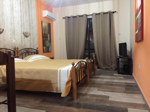 een slaapkamer met een bed en een televisie. bij Pomelo Apartments in Ayia Napa