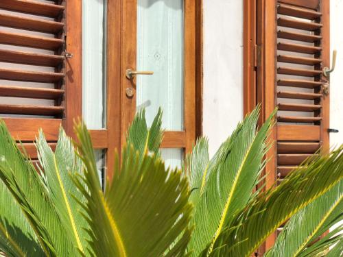 a wooden door in front of a window at La Casetta di Pantelleria in Pantelleria