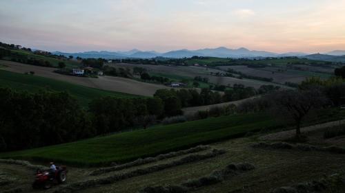 a person riding a motorcycle on a grassy hill at Casali Marchigiani - Ville vacanza private con piscina in Ostra