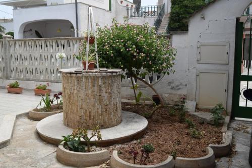 Un jardín fuera de Villetta Generosa