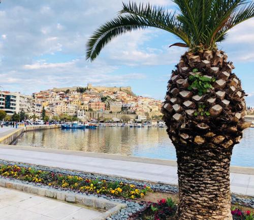 a palm tree next to a body of water at Apartments@Tsiantas in Kavála
