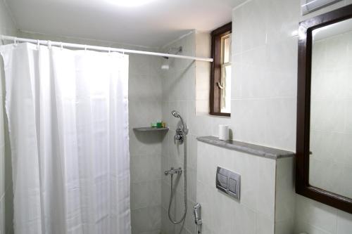 y baño con ducha y cortina de ducha. en Hill Top Goa Lodge en Vagator