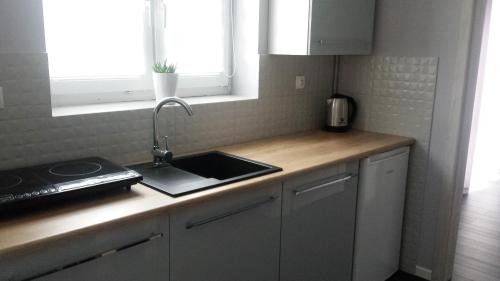 a kitchen with a sink and a counter top at Pokoje Stare Miasto in Zamość