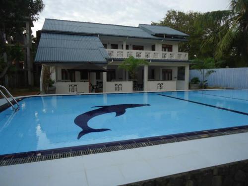 a dolphin stenciled on a swimming pool in front of a house at The Kent in Tissamaharama