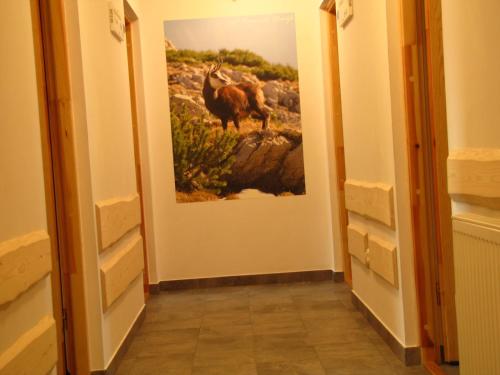 a hallway with a painting of a camel on the wall at Przy Szlaku Zakopane centrum pokoje & apartamenty in Zakopane