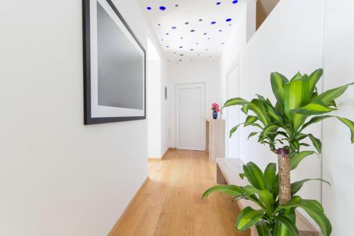 a hallway with white walls and a plant in a vase at Appartment in center with parking in Pula
