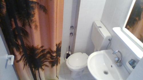 een badkamer met een toilet, een wastafel en een douchegordijn bij Apollon in Tsoútsouros