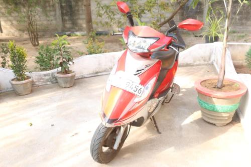 a motor scooter parked next to a plant at El Shaddai in Mannar