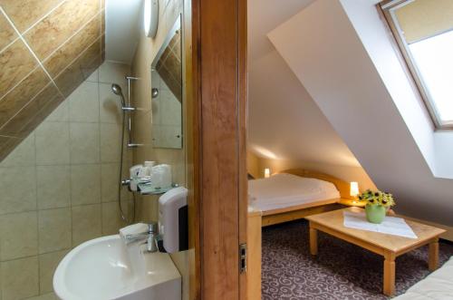 Koupelna v ubytování Pensiunea Casa Tepes