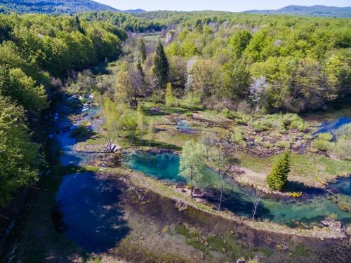 an aerial view of a river with trees at Plitvice Falls Cottage in Plitvica selo