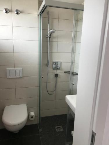 a bathroom with a shower with a toilet and a sink at BSW Schwarzwaldhotel Baiersbronn in Baiersbronn