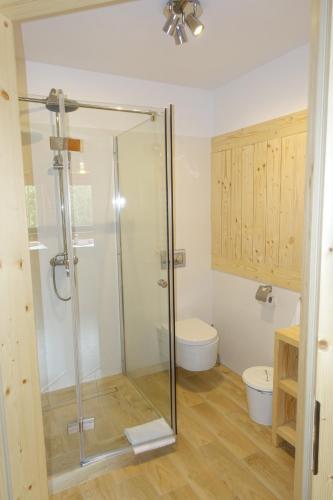 a bathroom with a shower and a toilet at Willa Zaolzie in Istebna