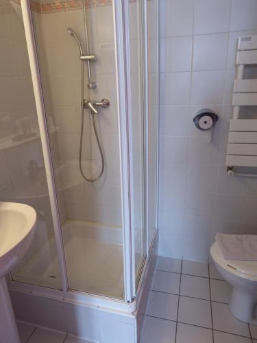 a bathroom with a shower with a sink and a toilet at Auberge du Pont de l'Alp in Le Monêtier-les-Bains