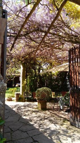 une terrasse avec un arbre et des fleurs violettes. dans l'établissement Albergo Casentino, à Poppi