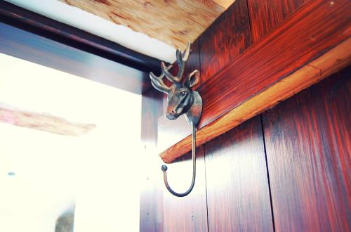 a trophy deer head hanging on a wall at Rosie's Barn in Penrith