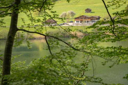 a house on a hill next to a lake at Hotel-Restaurant Burgseeli in Goldswil