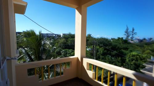 a balcony with a view of a palm tree at Allamanda Apartments - 100m Bain Boeuf Beach in Bain Boeuf