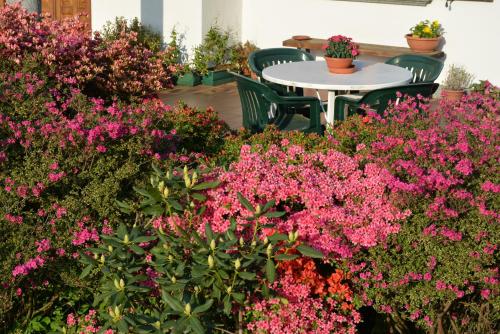 a table in a garden with pink flowers at Villa Palma in Colico