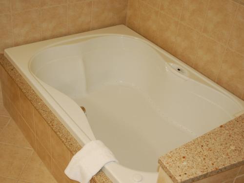 a bath tub with a toilet in a bathroom at Bavarian Inn Lodge in Frankenmuth