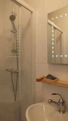 y baño con ducha, lavabo y espejo. en Les Grillons du Morvan, en Montsauche-les-Settons