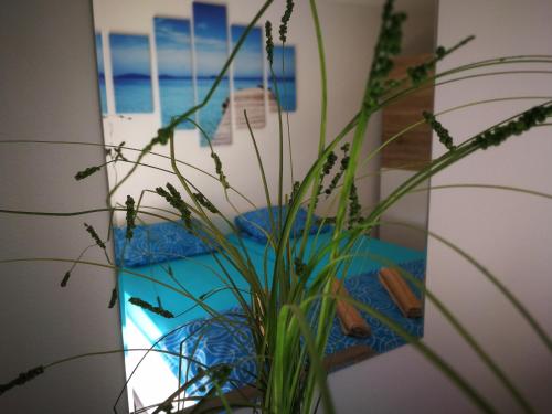 a vase with a plant in front of a mirror at Apartments Eržen in Medulin