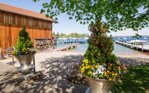 two potted trees in vases next to a marina at Hotel am See in Tutzing