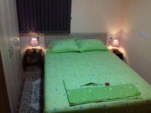 a bedroom with a green bed with two lamps at Apartmani Java in Soko Banja