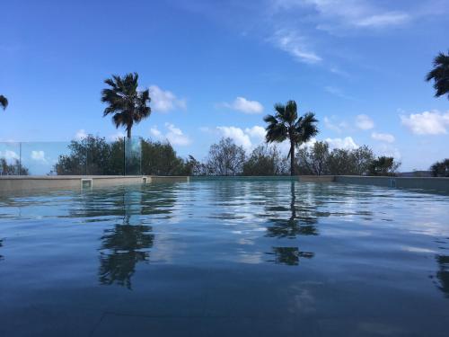 a swimming pool with palm trees in the background at Talayot - Adults Only in Cala Millor