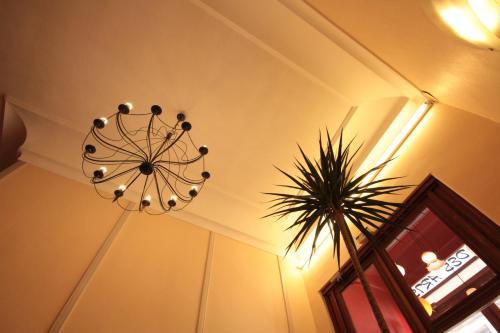 a chandelier hanging from a ceiling with a plant at Hôtel Des Arts, Artisanal et Indépendant in Montpellier